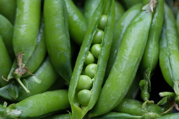 Pod of green peas 