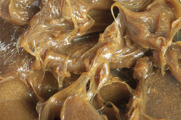 Amber grease. Close-up shot of special lubrication for automotive 