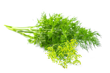 Flowers of the dill
