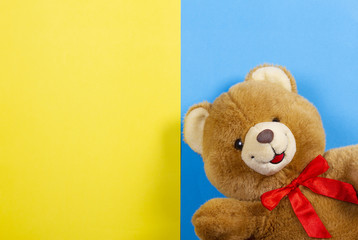 Teddy bear on blue and yellow color background