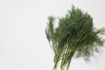 Fresh green dill on white background; food concept.