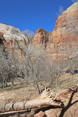 Zion National Park, Utah