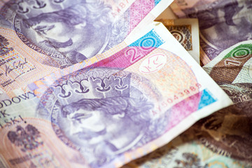 polish money background