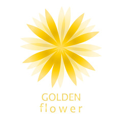 Golden color flower logo, symbol, vector illustration.