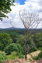 Der Nationalpark Sächsiche Schweiz bei Hinterhermsdorf
