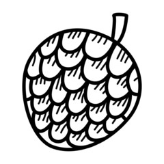 Pine nut cartoon illustration isolated on white background for children color book