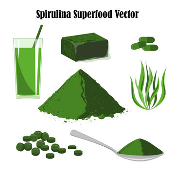 Spirulina superfood vector set