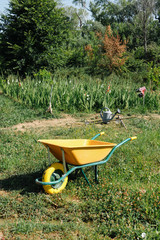 Yellow wheelbarrow in an orchard