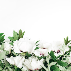 White peony flowers on white background. Flat lay, top view.
