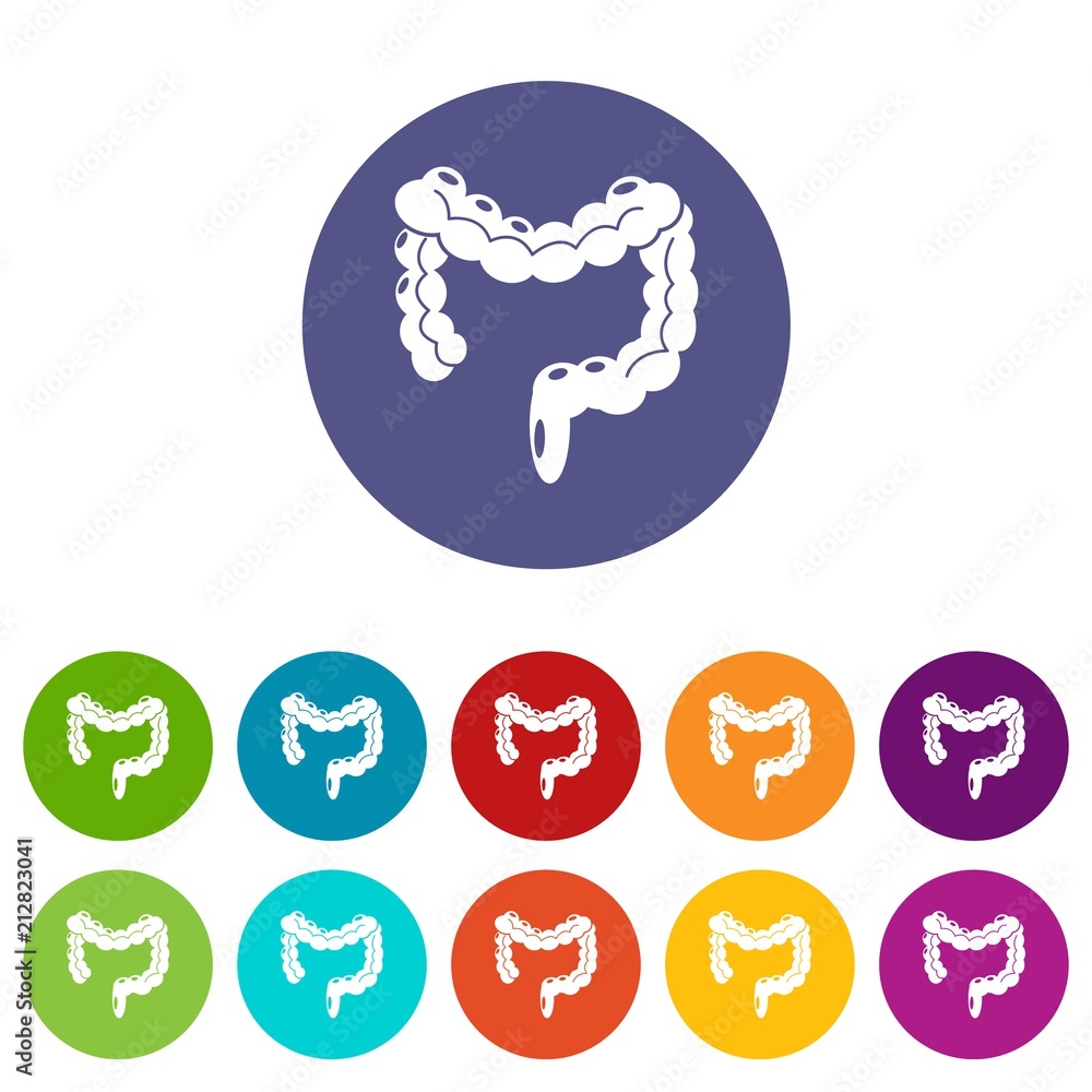 Poster human large intestine icons color set vector for any web design on white background