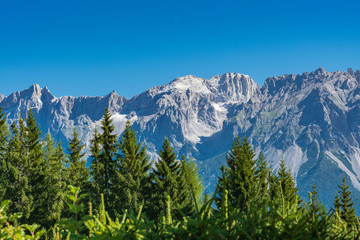 The summit Koppenkarstein in the Dachstein mountain range in Austria with green trees in foreground