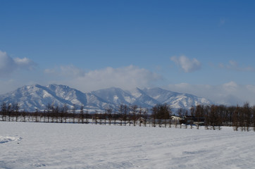雪の風景