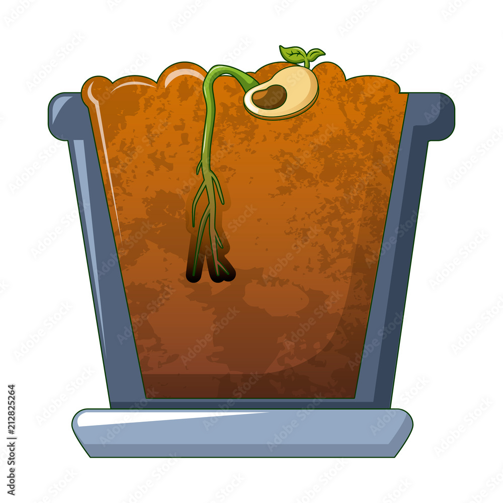 Poster bean in ground germinated icon. cartoon of bean in ground germinated vector icon for web design isol