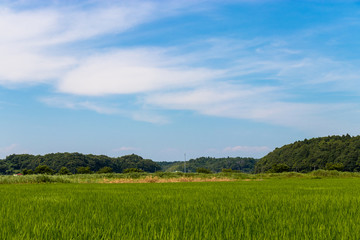 Fototapeta na wymiar Countryside scenery of Sakura city, Chiba prefecture, Japan