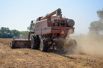 A harvester cutting and gathering dried, ripened soybeans in a field on a family farm