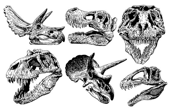 Graphical set of dinosaur skulls isolated on white background,vector sketchy illustration for tattoo 