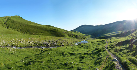 Fototapete bei efototapeten.de bestellen   