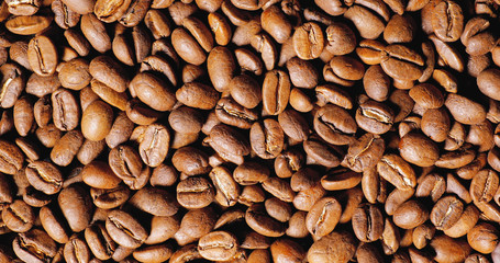 Background of many coffee grains, top view texture
