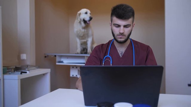 Young bearded veterinarian with stethoscope typing on laptop pc at animal care clinic while patient sitting on examination table on background. Vet checking test results on computer at pet hospital