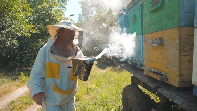 the beekeeper working in the apiary bees fly swarm multi colored beehive slow motion video. bee-maker beekeeper man working of a smoke pipe beeper wooden hives smoker device for repelling evil bees