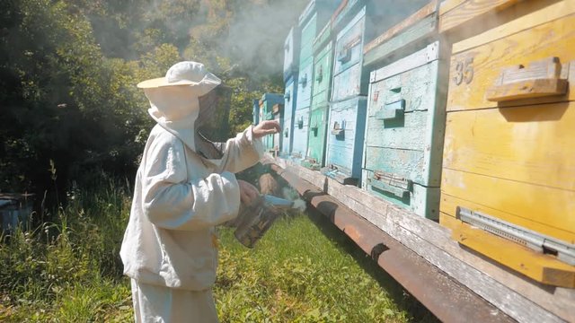 the beekeeper working in the apiary bees fly swarm multi colored beehive slow motion video. bee-maker beekeeper man working of a smoke pipe beeper wooden hives lifestyle smoker device for repelling