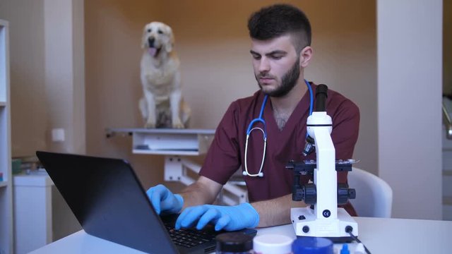 Bearded hipster vet doctor working on examination room with microscope and typing diognosis and checkup results to laptop pc computer at animal care clinic. Retriever dog sitting on table
