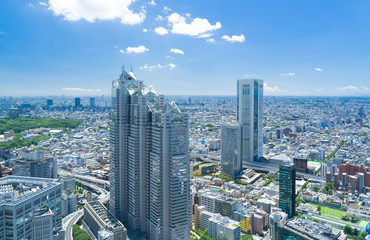 Fototapeta na wymiar 東京風景・青空と地平線
