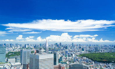 Obraz premium 東京風景・青空と緑・夏