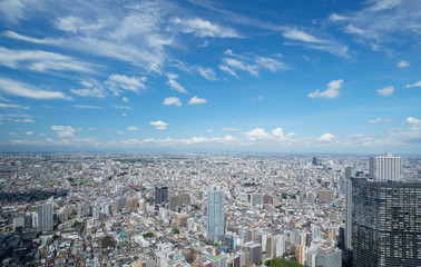 Fototapeta na wymiar 東京風景・青空と地平線