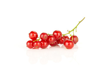 One whole red currant berry string isolated on white.