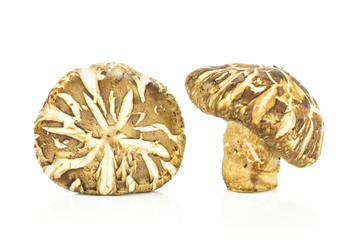 Group of two whole fresh raw brown shiitake mushroom isolated on white.