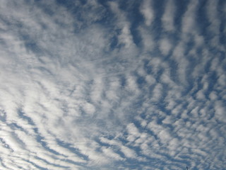 Fototapeta premium cielo