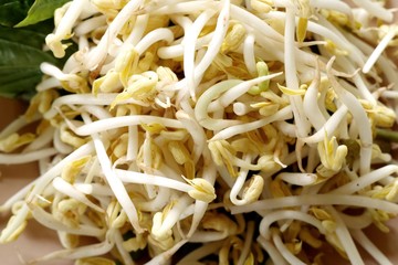 heap organic bean sprouts