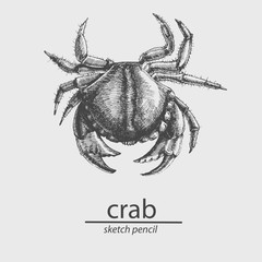 Crab. A marine resident. Sketch style. Vector