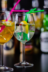 fresh and refreshing cocktails based on gin, a distinctive herbal flavor