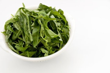 空心菜（クウシンサイ）の葉