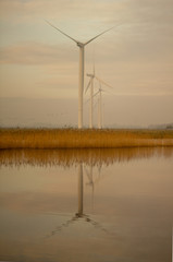 Wind turbines in The Netherlands, Zeeland,  with reflection on lake, warmed