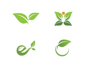  green leaf ecology nature element