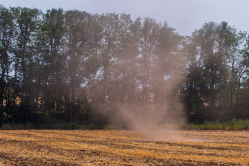 Small tornado or whirlwind with dust in a field