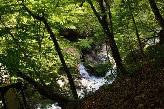 滝の流れのある新緑の山の中