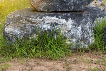 Growing green grass with large granite.