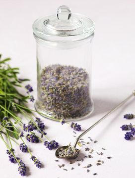 Glass jar with dried lavender and fresh lavender flowers on pink background