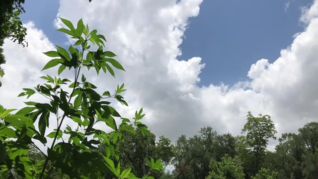 Rain clouds rolling in. Shot in 4K/60.