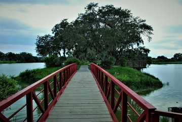 Fototapeta premium Beautiful scenic park in central Florida