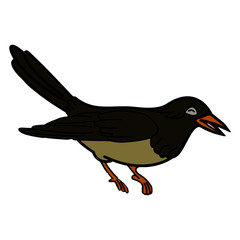 Cute bird cartoon illustration isolated on white background for children color book