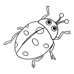 Cute ladybug cartoon illustration isolated on white background for children color book