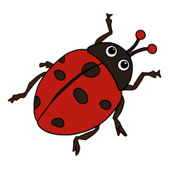 Cute ladybug cartoon illustration isolated on white background for children color book