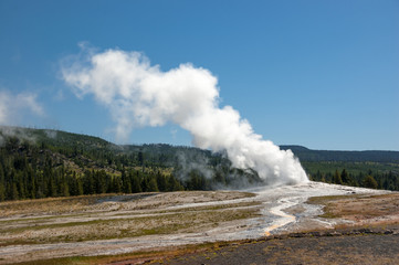 Fototapeta na wymiar Blowing off steam: geyser in Yellowstone National Park erupts