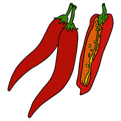 Chili cartoon illustration isolated on white background for children color book