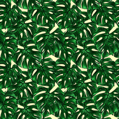 Green monstera leaf tropical plant watercolor ink line art hand drawn sketch seamless pattern texture background